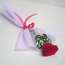 single rose